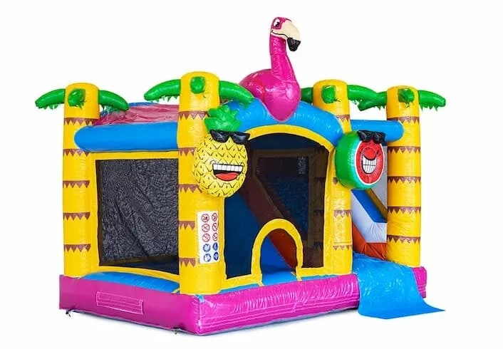 Flamingo springkasteel - Spring Events - foto 8